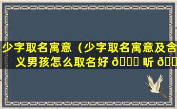 少字取名寓意（少字取名寓意及含义男孩怎么取名好 🐒 听 🐺 ）